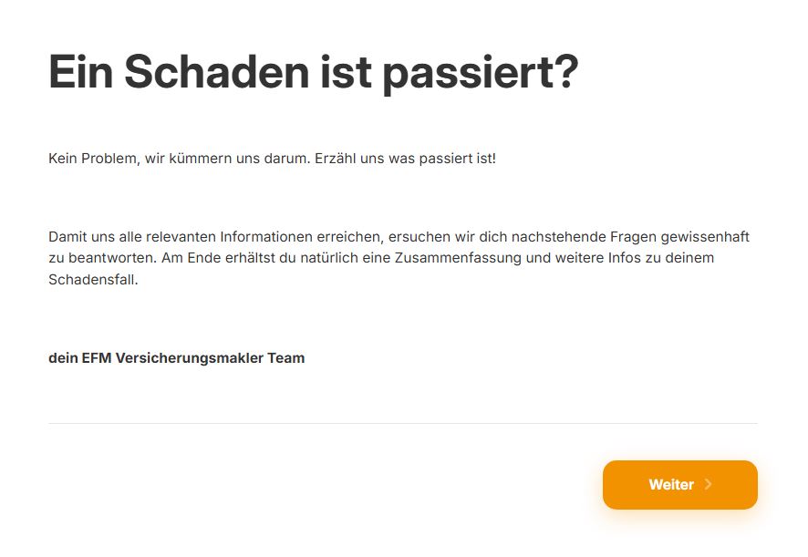 Die Onlineschadenmeldung